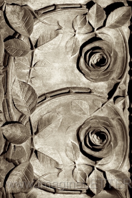 Wall_Art_Alphabet_Photography_Art_ 279.jpg